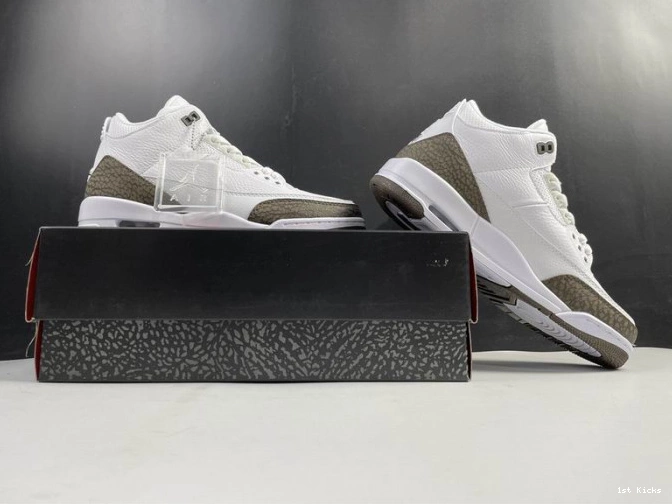 Jordan (2018) Mocha Retro 3 136064-122 Air 0711